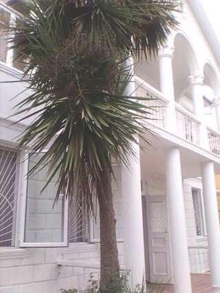 Гостевой дом White Guest House Махинджаури Семейный номер с балконом-2